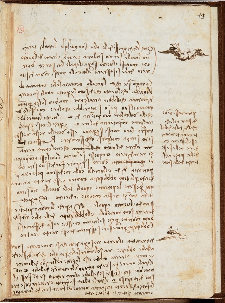 Page From The Codex Regarding The Flight Of Birds Canvas Art -  (24 x 36)