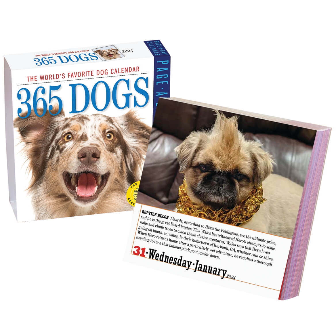 Page a Day Dog or Cat Calendar, 2023 - Walmart.com Page a Day Dog or Cat Calendar, 2023 - Walmart.com