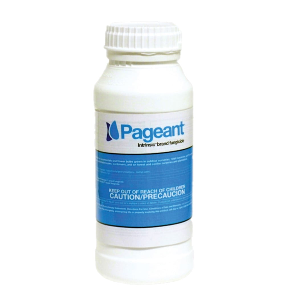 Pageant Intrinsic Fungicide - Broad-Spectrum, Superior Disease Control ...