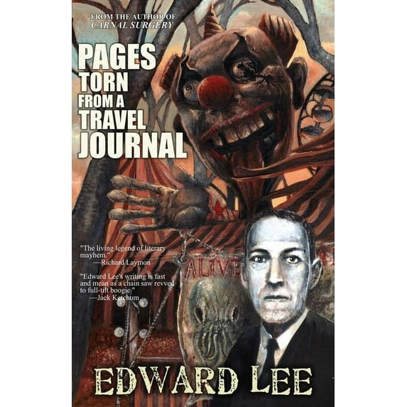 Pages Torn from a Travel Journal (Paperback)