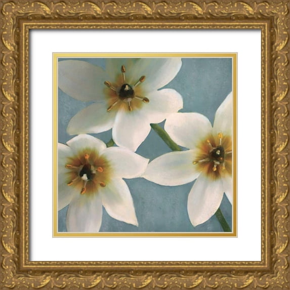 Pahl, Janel 12x12 Gold Ornate Wood Framed with Double Matting Museum Art Print Titled - Lily Parfait I