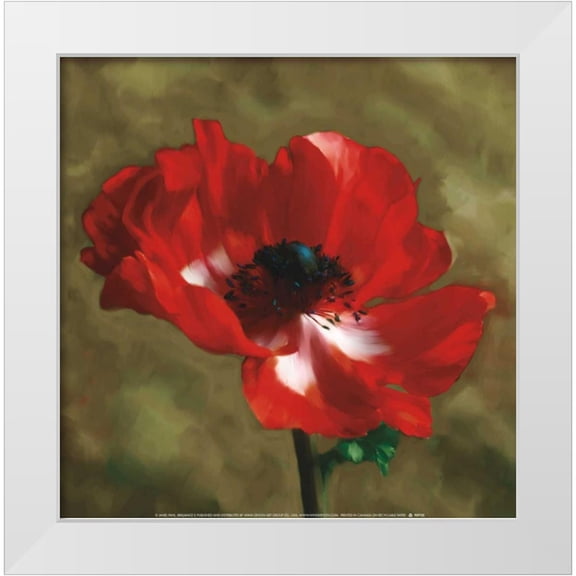 Pahl, Janel 12x12 White Modern Wood Framed Museum Art Print Titled - Brilliance II