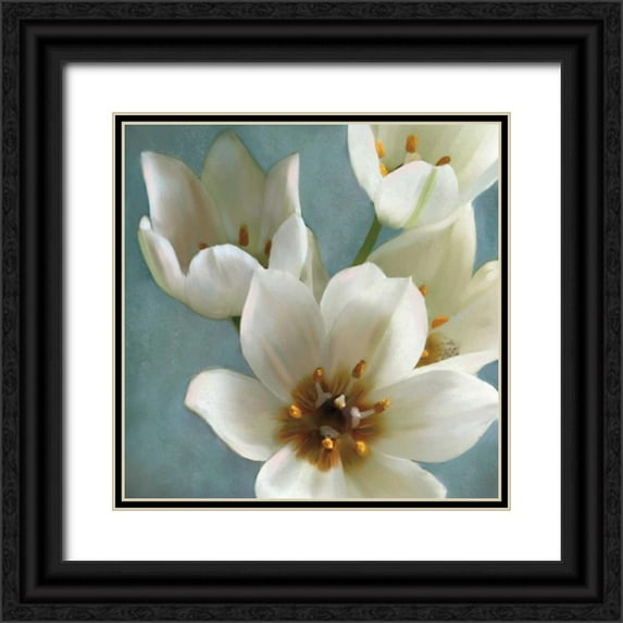 Pahl, Janel 26x26 Black Ornate Wood Framed with Double Matting Museum Art Print Titled - Lily Parfait II