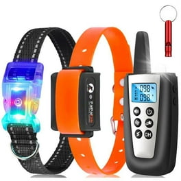 Dog bark and hot sale training collar combo