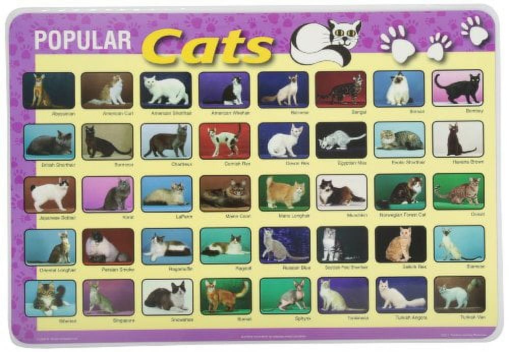 Painless Learning Popular Cats Placemats