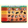 Painless Learning Rocks & Minerals Placemat - Pack of 4 - Walmart.com