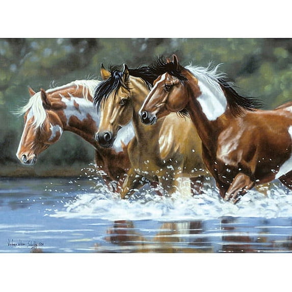 Paint By Number Artist's Collection, 12" x 16"