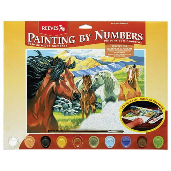 Paint By Number Kit