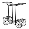 thumbnail image 1 of Paint Car Shape 6 Plant Stand Black, 1 of 15
