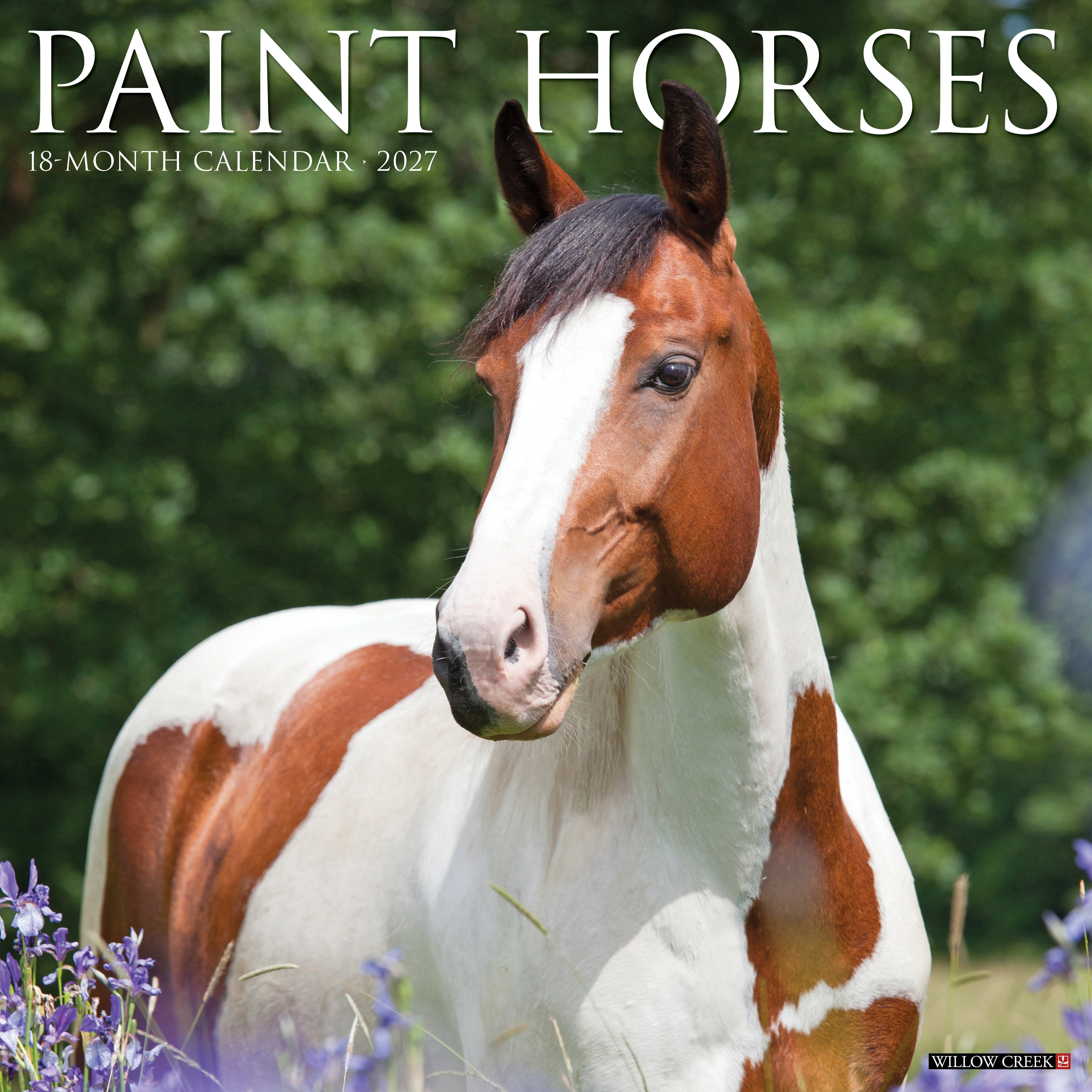 Willow Creek Press, Paint Horses 2027 Wall Calendar