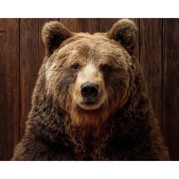 Paint by Numbers Adult DIY Hand Painted A gazing brown bear Oil Painting Canvas Kits with Brush and Acrylic Gifts and Home Decoration Without Frame 40 x 50 cm