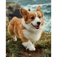 thumbnail image 1 of Paint by Numbers for Adults Kids Beginner Corgi on the Cliff 1 DIY Acrylic Painting by Numbers Kits with Brushes Acrylic Pigment Home Decoration Gifts 16 x 20 inch, 1 of 5