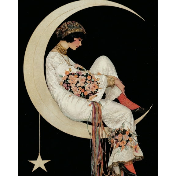 Paint by Numbers for Adults Kids Beginner Flower Shadows on the Moon DIY Acrylic Painting by Numbers Kits with Brushes Acrylic Pigment Home Decoration Gifts 16 x 20 inch