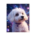 thumbnail image 1 of Paint by Numbers Kit for Adults, Adorable Starry Eyed Pup Paint by Numbers, Easy Paint by Numbers Kit for Adults Beginner, DIY Adult Paint by Number Kits on Canvas, Home Decor 12x16in, 1 of 7