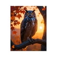 thumbnail image 1 of Paint by Numbers Kit for Adults, Autumn Sunset Owl Perched Branch Paint by Numbers, Easy Paint by Numbers Kit for Adults Beginner, DIY Adult Paint by Number Kits on Canvas, Home Decor, 1 of 7