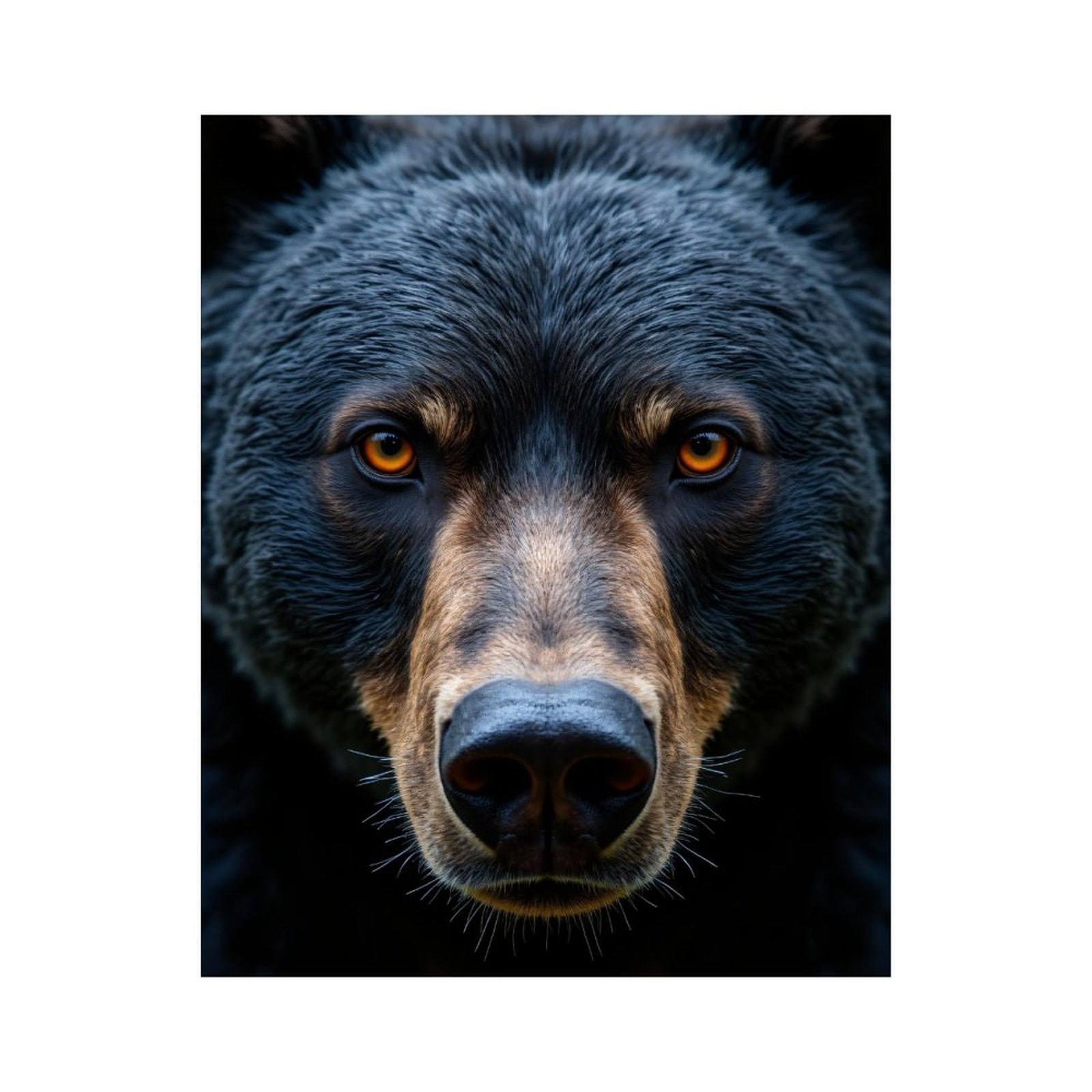 Paint by Numbers Kit for Adults, Bear Staring Intense Eyes Closeup Paint by Numbers, Easy Paint by Numbers Kit for Adults Beginner, DIY Adult Paint by Number Kits on Canvas, Home Decor