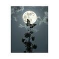 thumbnail image 1 of Paint By Numbers Kit for Adults Beginner - DIY Butterfly Night Blooms Moonlight Canvas Painting Kits for Adults, Frameless Paint By Number for Adults for Home Wall Decor 16x20 Inch, 1 of 7