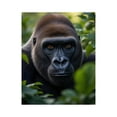 thumbnail image 1 of Paint By Numbers Kit for Adults Beginner - DIY Gorilla Jungle Intense Gaze Canvas Painting Kits for Adults, Frameless Paint By Number for Adults for Home Wall Decor 16x20 Inch, 1 of 7