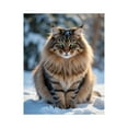 thumbnail image 1 of Paint By Numbers Kit for Adults Beginner - DIY Maine Coon Snow Portrait Canvas Painting Kits for Adults, Frameless Paint By Number for Adults for Home Wall Decor 16x20 Inch, 1 of 7
