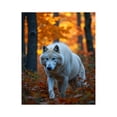 thumbnail image 1 of Paint By Numbers Kit for Adults Beginner - DIY Majestic White Wolf In Autumn Forest Canvas Painting Kits for Adults, Frameless Paint By Number for Adults for Home Wall Decor 16x20 Inch, 1 of 7