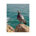 thumbnail image 1 of Paint By Numbers Kit for Adults Beginner - DIY Pigeon Perched On Rocky Shoreline Canvas Painting Kits for Adults, Frameless Paint By Number for Adults for Home Wall Decor 16x20 Inch, 1 of 7