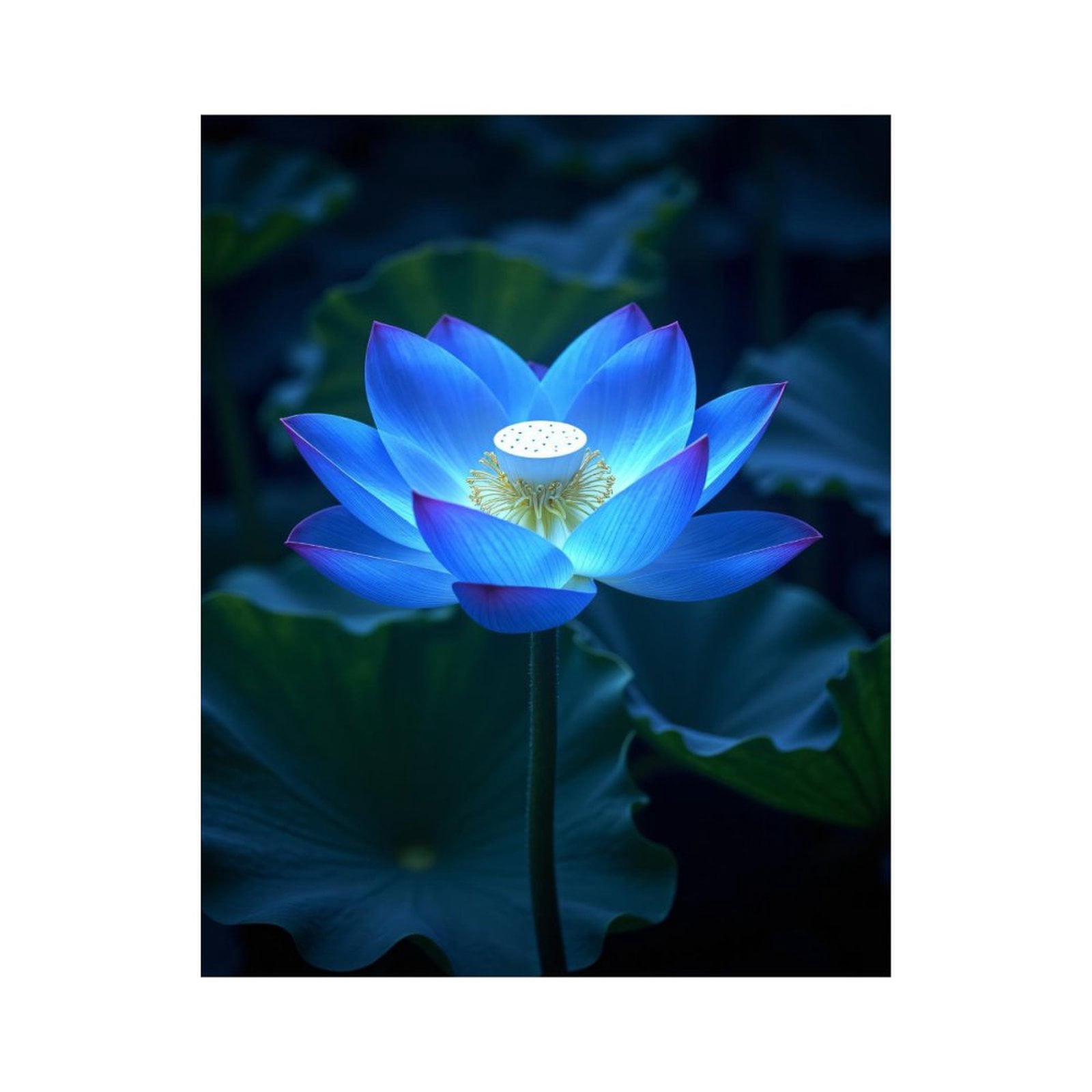Paint By Numbers Kit for Adults Beginner - DIY Radiant Blue Lotus Blossom Canvas Painting Kits for Adults, Frameless Paint By Number for Adults for Home Wall Decor 16x20 Inch