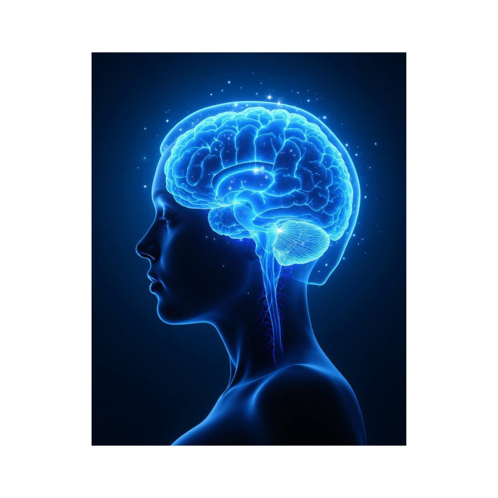 Paint By Numbers Kit for Adults Beginner - Human Brain Anatomy Illustration DIY Canvas Painting Kits for Adults, Frameless Paint By Number for Adults for Home Wall Decor 16x20 Inch