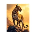 thumbnail image 1 of Paint By Numbers Kit for Adults Beginner - Majestic Leopard Sunrise Cliff DIY Canvas Painting Kits for Adults, Frameless Paint By Number for Adults for Home Wall Decor 16x20 Inch, 1 of 7