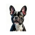 thumbnail image 1 of Paint By Numbers Kit for Adults Beginner - Pet Dog Alert Ears Bright Eyes DIY Canvas Painting Kits for Adults, Frameless Paint By Number for Adults for Home Wall Decor 16x20 Inch, 1 of 7