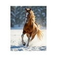 thumbnail image 1 of Paint By Numbers Kit for Adults Beginner - Snowy Galloping Horse DIY Canvas Painting Kits for Adults, Frameless Paint By Number for Adults for Home Wall Decor 16x20 Inch, 1 of 7