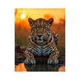 thumbnail image 1 of Paint By Numbers Kit for Adults Beginner - Sunset Leopard Reflection Water DIY Canvas Painting Kits for Adults, Frameless Paint By Number for Adults for Home Wall Decor 16x20 Inch, 1 of 7
