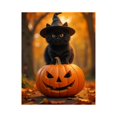 thumbnail image 1 of Paint by Numbers Kit for Adults, Black Cat Witch Pumpkin Autumn Paint by Numbers, Easy Paint by Numbers Kit for Adults Beginner, DIY Adult Paint by Number Kits on Canvas, Home Decor, 1 of 7