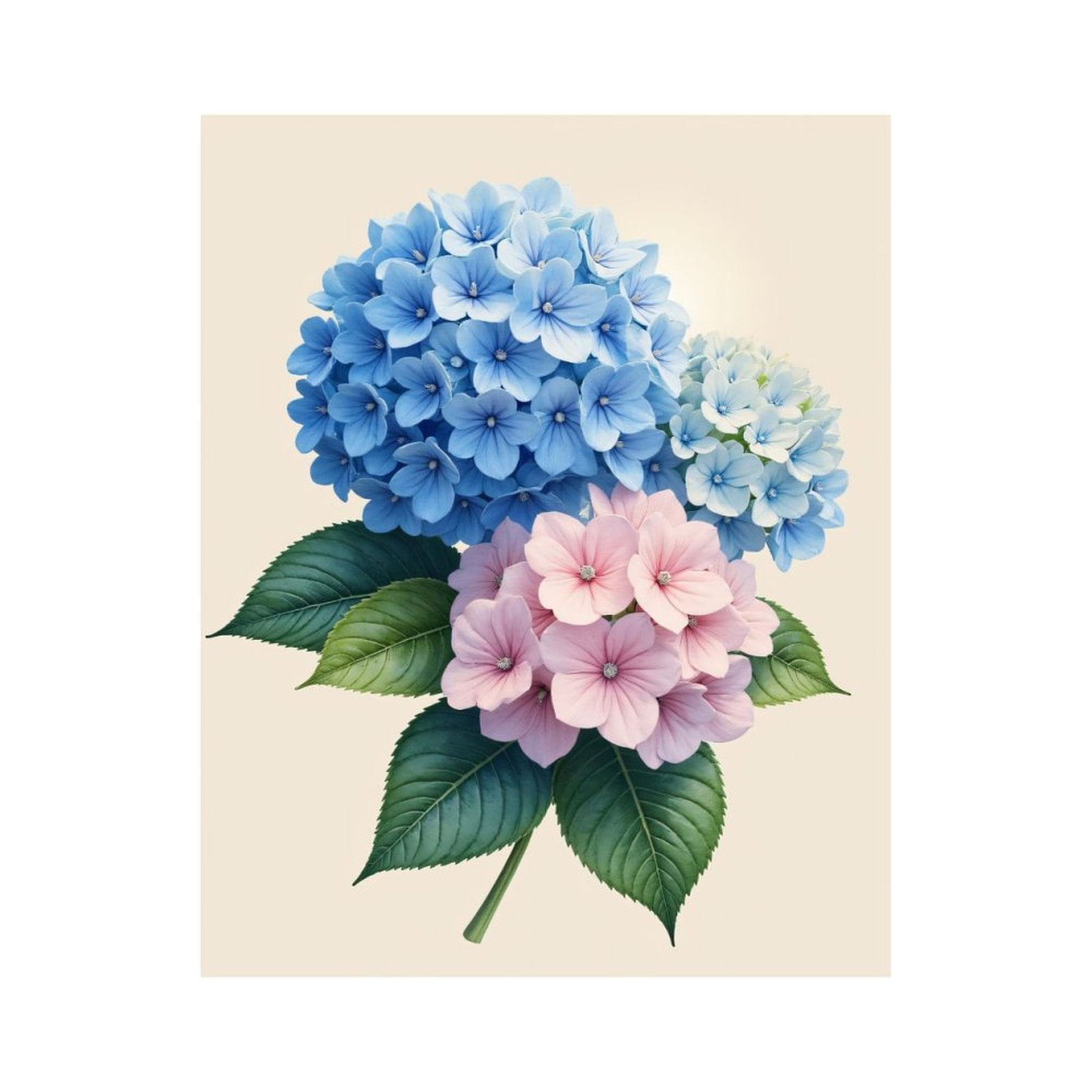 Paint by Numbers Kit for Adults, Blue Pink Hydrangea Blooms Leaves Paint by Numbers, Easy Paint by Numbers Kit for Adults Beginner, DIY Adult Paint by Number Kits on Canvas, 12x16in Home Decor