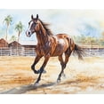 thumbnail image 1 of Paint by Numbers Kit for Adults-Brown Horse Galloping- Beginner DIY Color by Number Set on Canvas Acrylic Oil Paintings Crafts, Gifts, Home Wall Decor (12 X 16 inches)-, 1 of 5