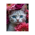 thumbnail image 1 of Paint by Numbers Kit for Adults, Cat Blue Eyes Floral Surround Paint by Numbers, Easy Paint by Numbers Kit for Adults Beginner, DIY Adult Paint by Number Kits on Canvas, 12x16in Home Decor, 1 of 7