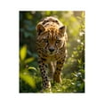 thumbnail image 1 of Paint by Numbers Kit for Adults, Cheetah Nature Sunlight Stalking Paint by Numbers, Easy Paint by Numbers Kit for Adults Beginner, DIY Adult Paint by Number Kits on Canvas, Home Decor, 1 of 7