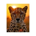 thumbnail image 1 of Paint by Numbers Kit for Adults, Cheetah Sunset Portrait Paint by Numbers, Easy Paint by Numbers Kit for Adults Beginner, DIY Adult Paint by Number Kits on Canvas, Home Decor, 1 of 7