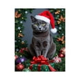 thumbnail image 1 of Paint by Numbers Kit for Adults, Christmas Cat Festive Decorations Paint by Numbers, Easy Paint by Numbers Kit for Adults Beginner, DIY Adult Paint by Number Kits on Canvas, Home Decor, 1 of 7