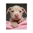 thumbnail image 1 of Paint by Numbers Kit for Adults, Cute Puppy Pink Blanket Paint by Numbers, Easy Paint by Numbers Kit for Adults Beginner, DIY Adult Paint by Number Kits on Canvas, Home Decor, 1 of 7