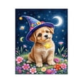 thumbnail image 1 of Paint by Numbers Kit for Adults, Cute Puppy Wizard Starry Night Paint by Numbers, Easy Paint by Numbers Kit for Adults Beginner, DIY Adult Paint by Number Kits on Canvas, Home Decor 12x16in, 1 of 7