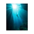 thumbnail image 1 of Paint by Numbers Kit for Adults, Diver Sunlit Ocean Cavern Serenity Paint by Numbers, Easy Paint by Numbers Kit for Adults Beginner, DIY Adult Paint by Number Kits on Canvas, Home Decor 12x16in, 1 of 7