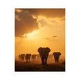 thumbnail image 1 of Paint by Numbers Kit for Adults, Elephant Herd Sunset Silhouette Journey Paint by Numbers, Easy Paint by Numbers Kit for Adults Beginner, DIY Adult Paint by Number Kits on Canvas, 12x16in Home Decor, 1 of 7