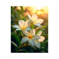 thumbnail image 1 of Paint by Numbers Kit for Adults, Frangipani Sunset Blooms Serenity Paint by Numbers, Easy Paint by Numbers Kit for Adults Beginner, DIY Adult Paint by Number Kits on Canvas, 12x16in Home Decor, 1 of 7