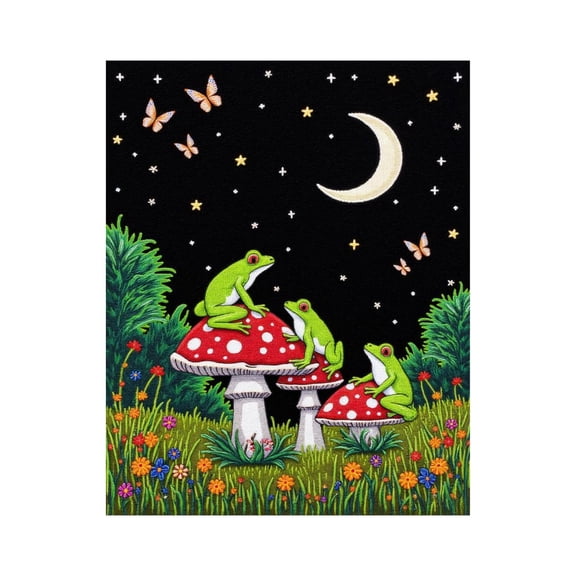 Paint by Numbers Kit for Adults, Frogs On Mushrooms Night Sky Paint by Numbers, Easy Paint by Numbers Kit for Adults Beginner, DIY Adult Paint by Number Kits on Canvas, 12x16in Home Decor