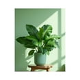 thumbnail image 1 of Paint by Numbers Kit for Adults, Green Plant Potted Sunlit Interior Paint by Numbers, Easy Paint by Numbers Kit for Adults Beginner, DIY Adult Paint by Number Kits on Canvas, Home Decor, 1 of 7