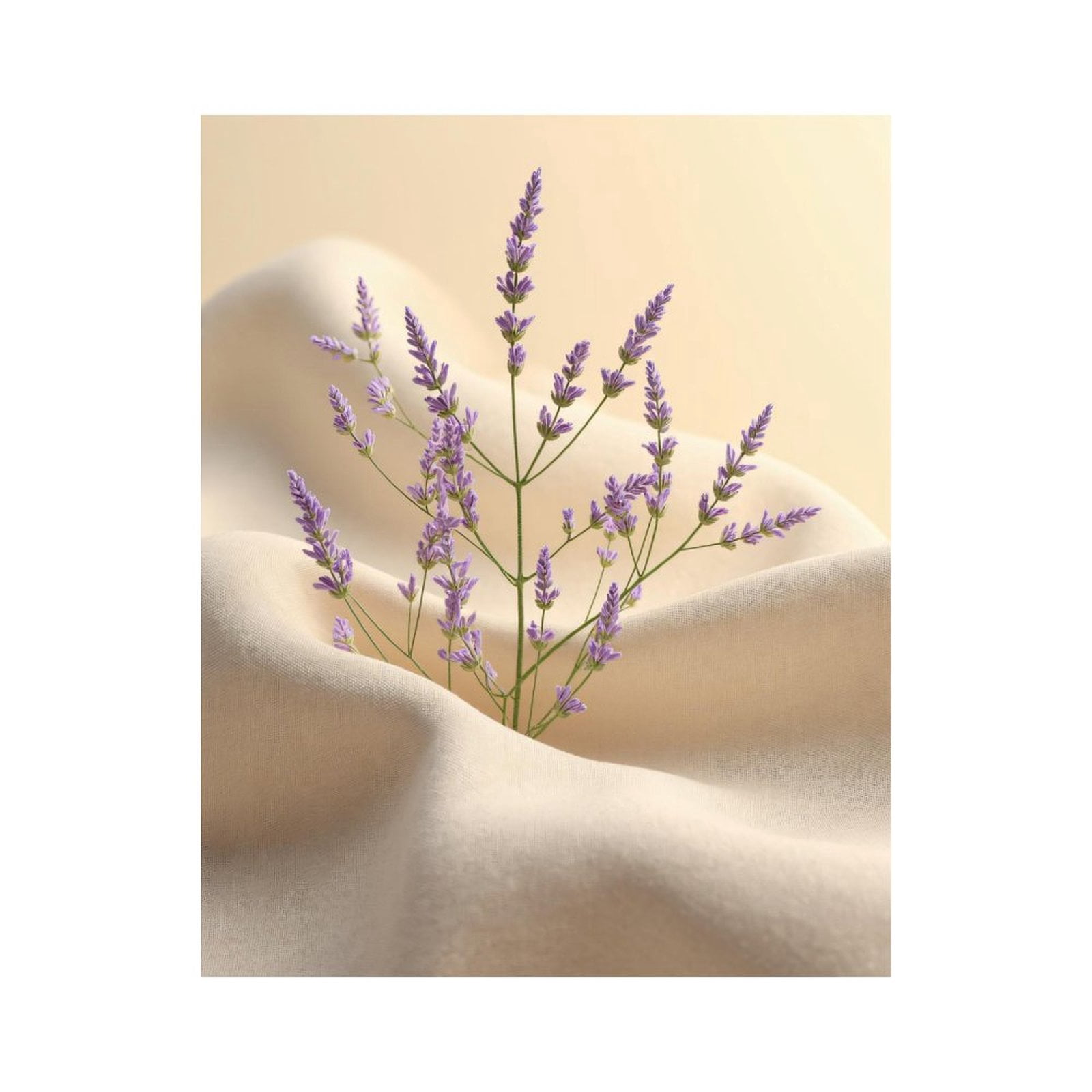 Paint by Numbers Kit for Adults, Lavender Blooms On Beige Fabric Paint by Numbers, Easy Paint by Numbers Kit for Adults Beginner, DIY Adult Paint by Number Kits on Canvas, Home Decor