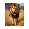 thumbnail image 1 of Paint by Numbers Kit for Adults, Lion Majesty Savannah Walk Paint by Numbers, Easy Paint by Numbers Kit for Adults Beginner, DIY Adult Paint by Number Kits on Canvas, Home Decor, 1 of 7