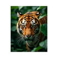 thumbnail image 1 of Paint by Numbers Kit for Adults, Majestic Tiger Lush Greenery Paint by Numbers, Easy Paint by Numbers Kit for Adults Beginner, DIY Adult Paint by Number Kits on Canvas, Home Decor, 1 of 7