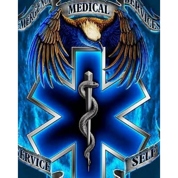 Paint by Numbers Kit for Adults -Medical Rescue - Beginner DIY Color by Number Set on Canvas Acrylic Oil Paintings Crafts, Gifts, Home Wall Decor (12 X 16 inches)-