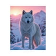thumbnail image 1 of Paint by Numbers Kit for Adults, Mystical Arctic Wolf At Sunset Paint by Numbers, Easy Paint by Numbers Kit for Adults Beginner, DIY Adult Paint by Number Kits on Canvas, 12x16in Home Decor, 1 of 7